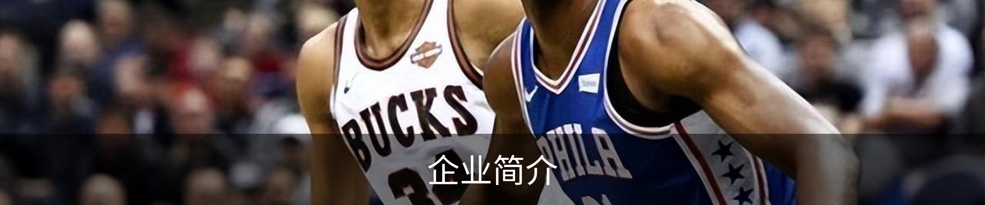 企业简介